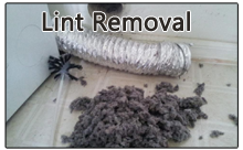 lint removal